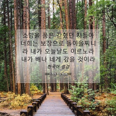 Picture 07 - 스가랴 9:12 KOR - 소망을 품은 갇혔던 자들아 너희는 - Bible Verse Picture