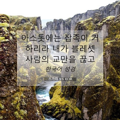 Picture 07 - 스가랴 9:6 KOR - 아스돗에는 잡족이 거하리라 내가 - Bible Verse Picture