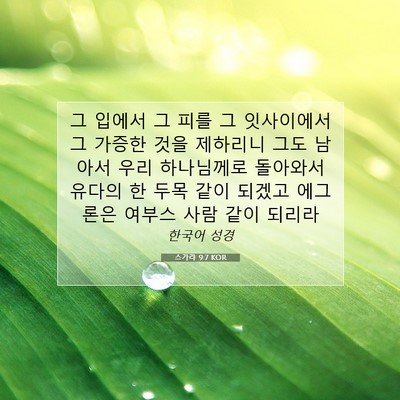 Picture 07 - 스가랴 9:7 KOR - 그 입에서 그 피를 그 잇사이에서 그 - Bible Verse Picture