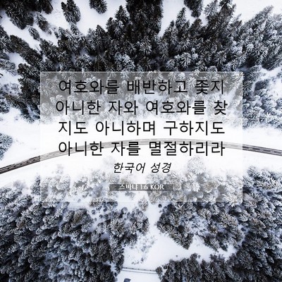 Picture 07 - 스바냐 1:6 KOR - 여호와를 배반하고 좇지 아니한 자와 - Bible Verse Picture