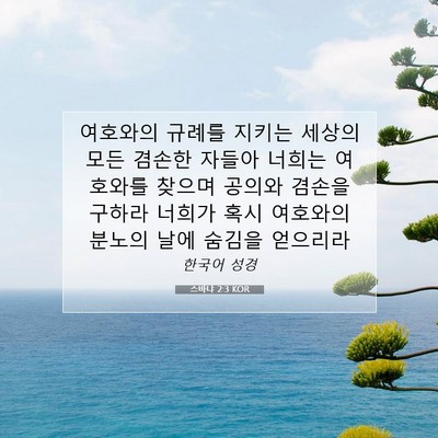 Picture 07 - 스바냐 2:3 KOR - 여호와의 규례를 지키는 세상의 모든 - Bible Verse Picture