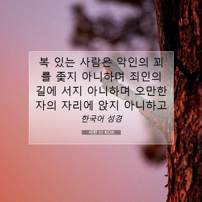 Picture 07 - 시편 1:1 KOR - 복 있는 사람은 악인의 꾀를 좇지 - Bible Verse Picture