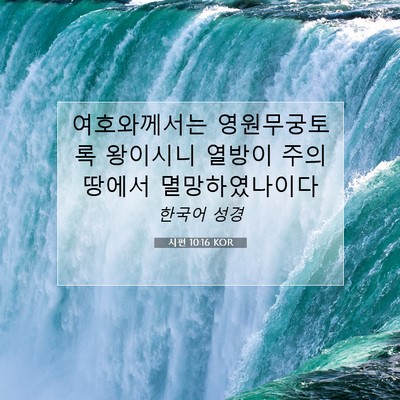 Picture 07 - 시편 10:16 KOR - 여호와께서는 영원무궁토록 - Bible Verse Picture
