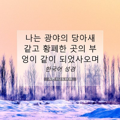 Picture 07 - 시편 102:6 KOR - 나는 광야의 당아새 같고 황폐한 - Bible Verse Picture