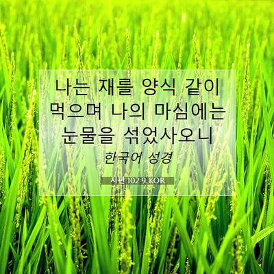 Picture 07 - 시편 102:9 KOR - 나는 재를 양식 같이 먹으며 나의 - Bible Verse Picture