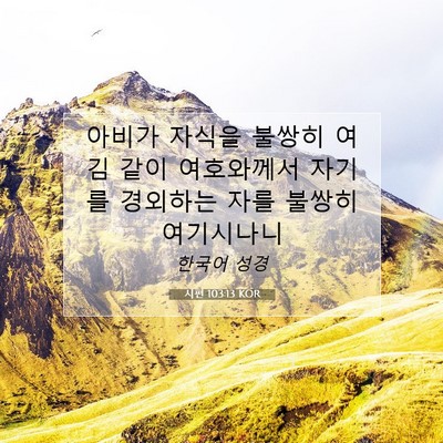 Picture 07 - 시편 103:13 KOR - 아비가 자식을 불쌍히 여김 같이 - Bible Verse Picture