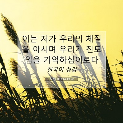 Picture 07 - 시편 103:14 KOR - 이는 저가 우리의 체질을 아시며 - Bible Verse Picture