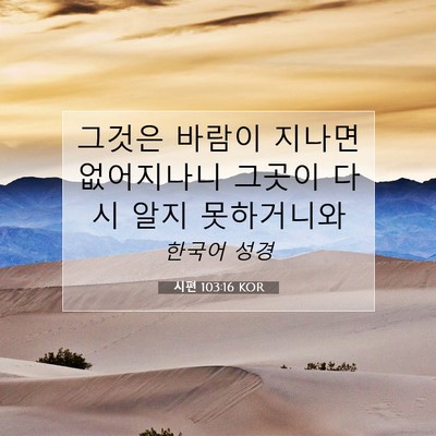 Picture 07 - 시편 103:16 KOR - 그것은 바람이 지나면 없어지나니 - Bible Verse Picture