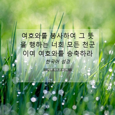 Picture 07 - 시편 103:21 KOR - 여호와를 봉사하여 그 뜻을 행하는 - Bible Verse Picture