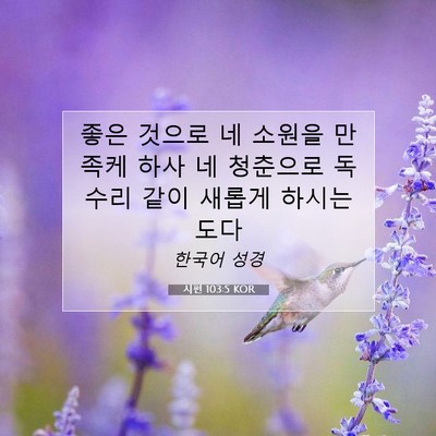 Picture 07 - 시편 103:5 KOR - 좋은 것으로 네 소원을 만족케 하사 - Bible Verse Picture