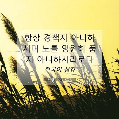 Picture 07 - 시편 103:9 KOR - 항상 경책지 아니하시며 노를 영원히 - Bible Verse Picture