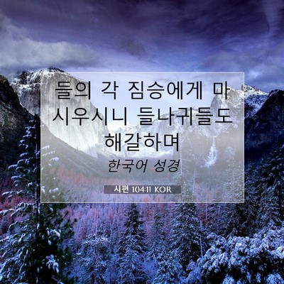 Picture 07 - 시편 104:11 KOR - 들의 각 짐승에게 마시우시니 - Bible Verse Picture