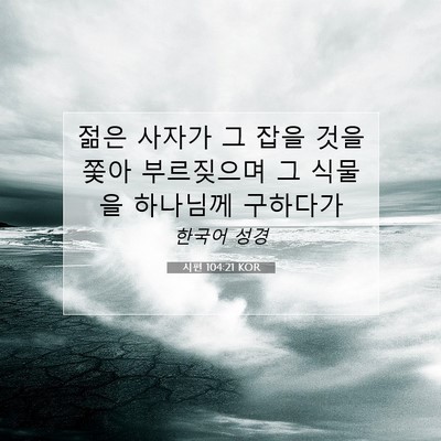 Picture 07 - 시편 104:21 KOR - 젊은 사자가 그 잡을 것을 쫓아 - Bible Verse Picture