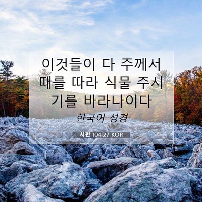 Picture 07 - 시편 104:27 KOR - 이것들이 다 주께서 때를 따라 식물 - Bible Verse Picture