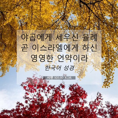 Picture 07 - 시편 105:10 KOR - 야곱에게 세우신 율례 곧 - Bible Verse Picture