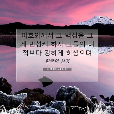 Picture 07 - 시편 105:24 KOR - 여호와께서 그 백성을 크게 번성케 - Bible Verse Picture