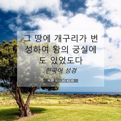 Picture 07 - 시편 105:30 KOR - 그 땅에 개구리가 번성하여 왕의 - Bible Verse Picture