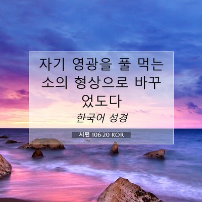 Picture 07 - 시편 106:20 KOR - 자기 영광을 풀 먹는 소의 형상으로 - Bible Verse Picture