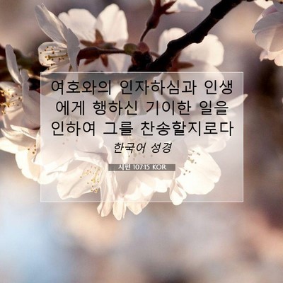 Picture 07 - 시편 107:15 KOR - 여호와의 인자하심과 인생에게 - Bible Verse Picture