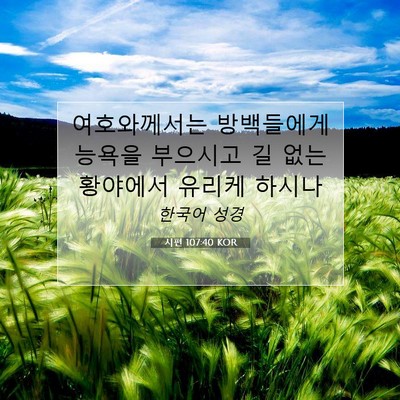Picture 07 - 시편 107:40 KOR - 여호와께서는 방백들에게 능욕을 - Bible Verse Picture