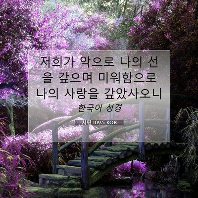 Picture 07 - 시편 109:5 KOR - 저희가 악으로 나의 선을 갚으며 - Bible Verse Picture