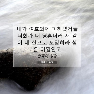Picture 07 - 시편 11:1 KOR - 내가 여호와께 피하였거늘 너희가 내 - Bible Verse Picture