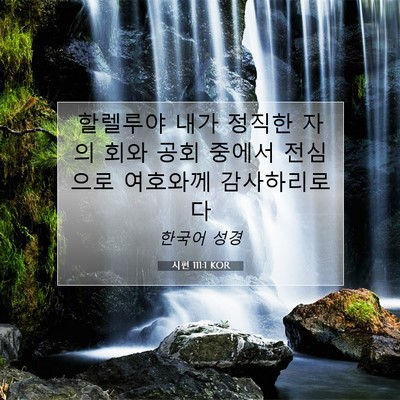 Picture 07 - 시편 111:1 KOR - 할렐루야 내가 정직한 자의 회와 - Bible Verse Picture