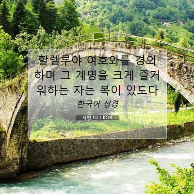 Picture 07 - 시편 112:1 KOR - 할렐루야 여호와를 경외하며 그 - Bible Verse Picture