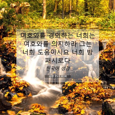 Picture 07 - 시편 115:11 KOR - 여호와를 경외하는 너희는 여호와를 - Bible Verse Picture