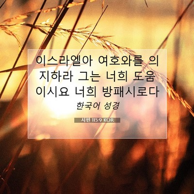Picture 07 - 시편 115:9 KOR - 이스라엘아 여호와를 의지하라 그는 - Bible Verse Picture