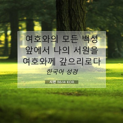 Picture 07 - 시편 116:14 KOR - 여호와의 모든 백성 앞에서 나의 - Bible Verse Picture
