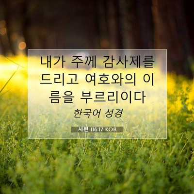 Picture 07 - 시편 116:17 KOR - 내가 주께 감사제를 드리고 여호와의 - Bible Verse Picture