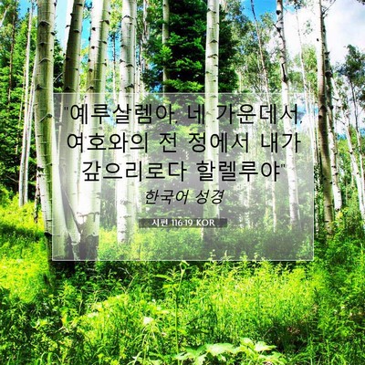 Picture 07 - 시편 116:19 KOR - 