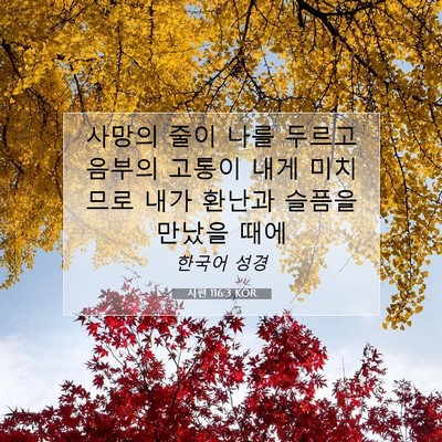 Picture 07 - 시편 116:3 KOR - 사망의 줄이 나를 두르고 음부의 - Bible Verse Picture