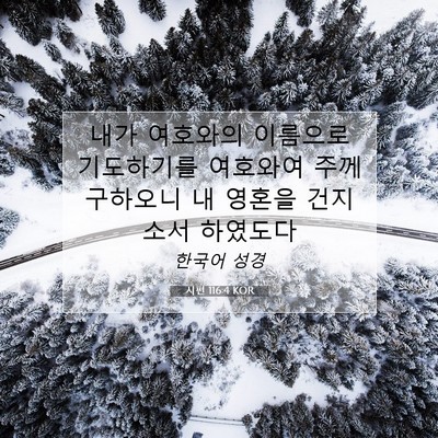 Picture 07 - 시편 116:4 KOR - 내가 여호와의 이름으로 기도하기를 - Bible Verse Picture