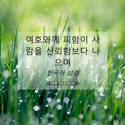 Picture 07 - 시편 118:8 KOR - 여호와께 피함이 사람을 신뢰함보다 - Bible Verse Picture