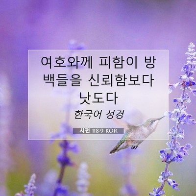 Picture 07 - 시편 118:9 KOR - 여호와께 피함이 방백들을 - Bible Verse Picture
