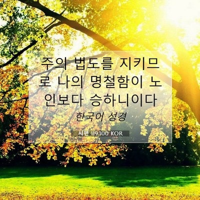 Picture 07 - 시편 119:100 KOR - 주의 법도를 지키므로 나의 명철함이 - Bible Verse Picture