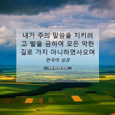 Picture 07 - 시편 119:101 KOR - 내가 주의 말씀을 지키려고 발을 - Bible Verse Picture