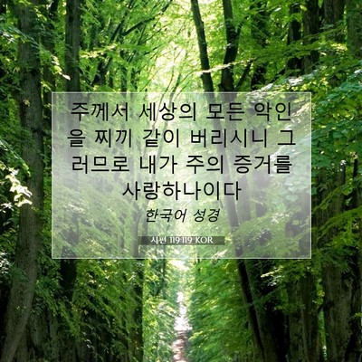 Picture 07 - 시편 119:119 KOR - 주께서 세상의 모든 악인을 찌끼 - Bible Verse Picture