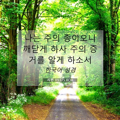 Picture 07 - 시편 119:125 KOR - 나는 주의 종이오니 깨닫게 하사 - Bible Verse Picture