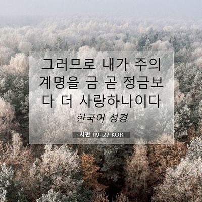 Picture 07 - 시편 119:127 KOR - 그러므로 내가 주의 계명을 금 곧 - Bible Verse Picture