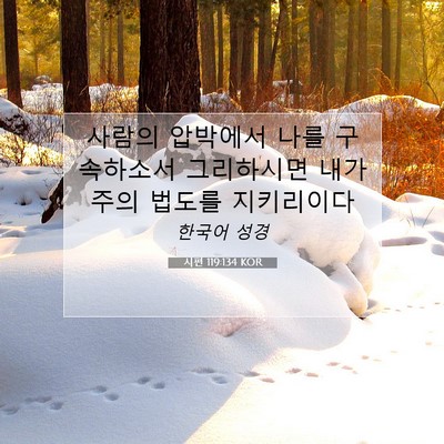 Picture 07 - 시편 119:134 KOR - 사람의 압박에서 나를 구속하소서 - Bible Verse Picture