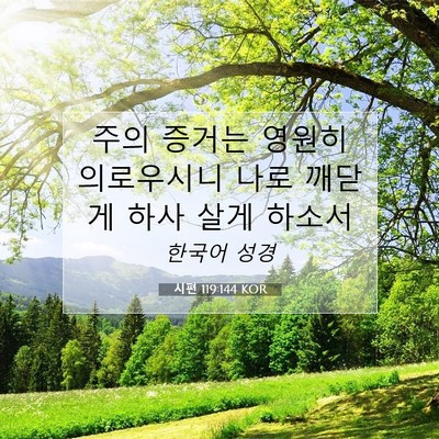 Picture 07 - 시편 119:144 KOR - 주의 증거는 영원히 의로우시니 나로 - Bible Verse Picture