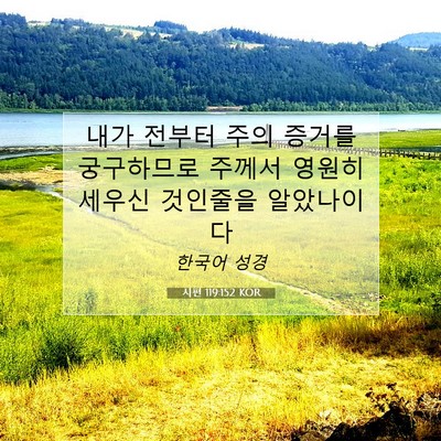 Picture 07 - 시편 119:152 KOR - 내가 전부터 주의 증거를 궁구하므로 - Bible Verse Picture