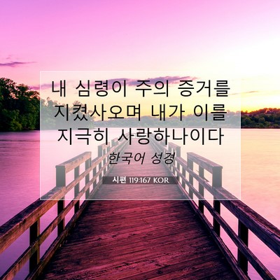 Picture 07 - 시편 119:167 KOR - 내 심령이 주의 증거를 지켰사오며 - Bible Verse Picture