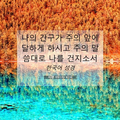 Picture 07 - 시편 119:170 KOR - 나의 간구가 주의 앞에 달하게 - Bible Verse Picture