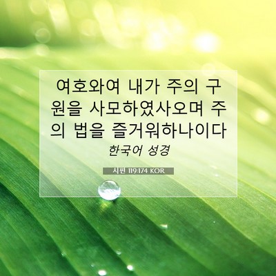 Picture 07 - 시편 119:174 KOR - 여호와여 내가 주의 구원을 - Bible Verse Picture