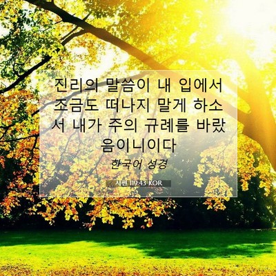Picture 07 - 시편 119:43 KOR - 진리의 말씀이 내 입에서 조금도 - Bible Verse Picture