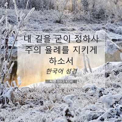 Picture 07 - 시편 119:5 KOR - 내 길을 굳이 정하사 주의 율례를 - Bible Verse Picture